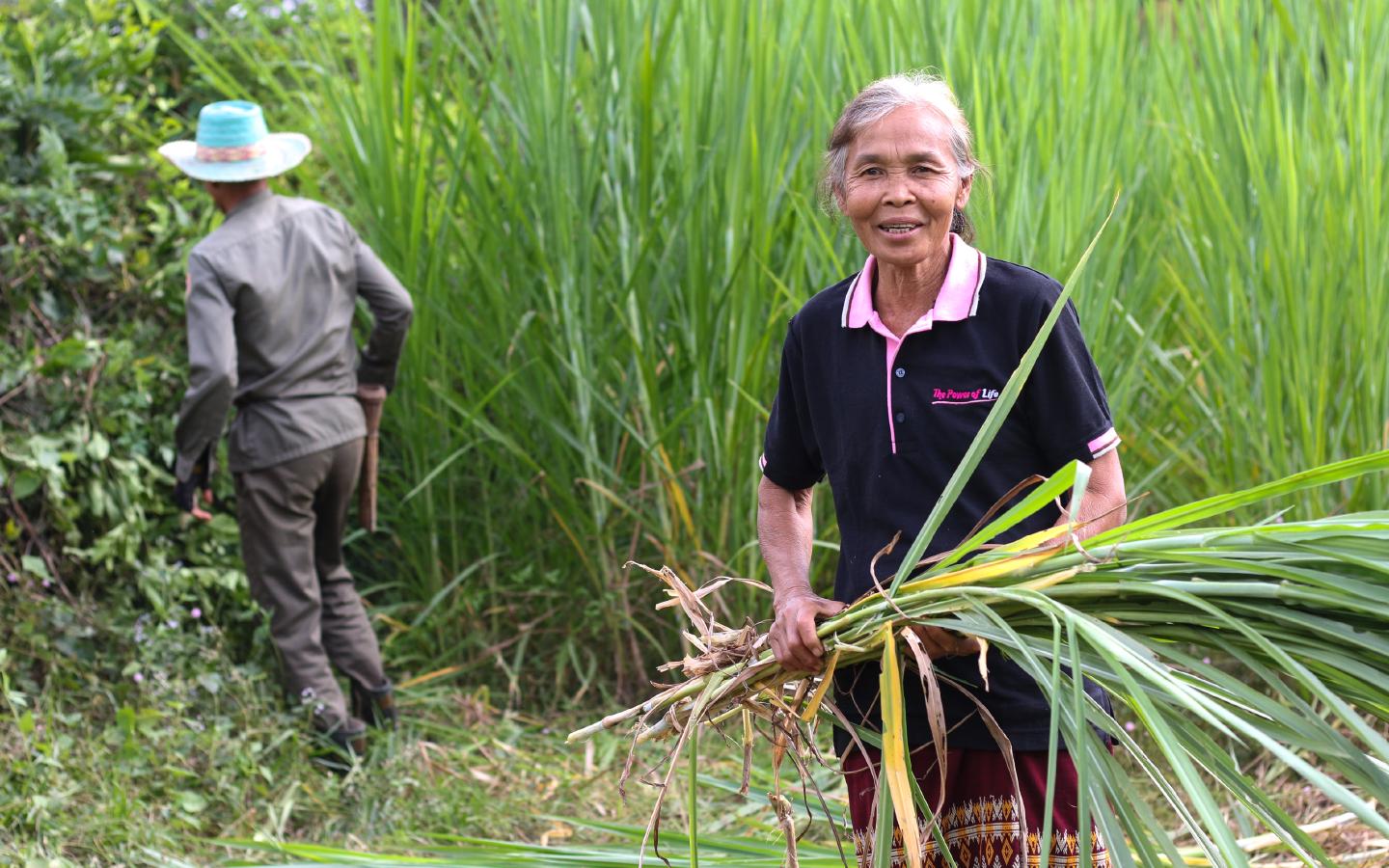 Global Agriculture and Food Security Program