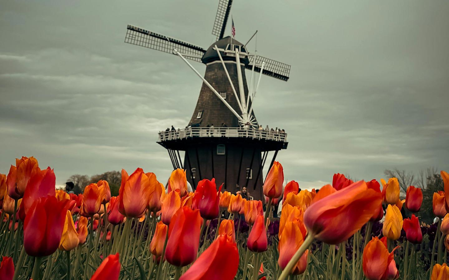 Netherlands